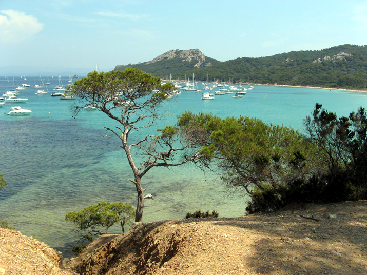 2006-07 WE Pereira Porquerolles 0002.jpg